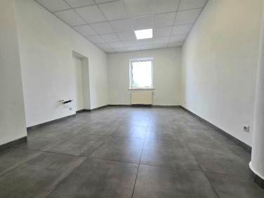 Lokal Piotrków Trybunalski
