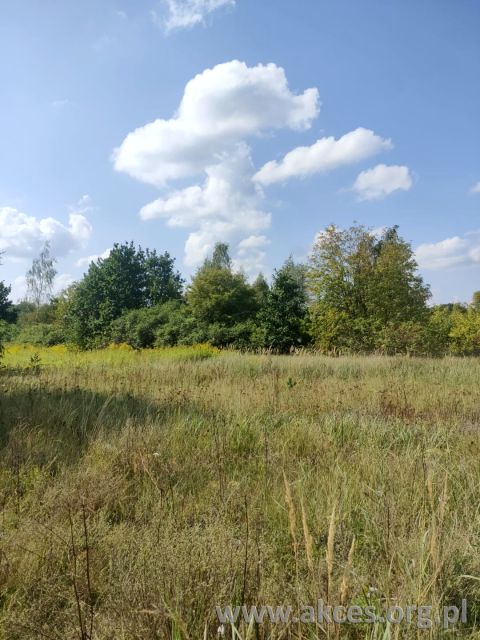 Zdjęcie 3