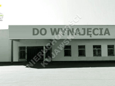 Budynek użytkowy Włocławek