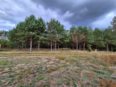 Działka Karwica