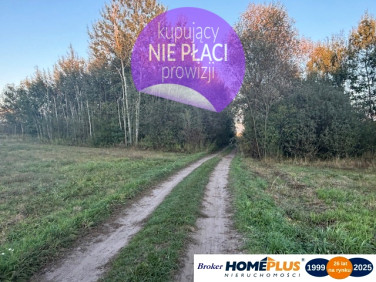 Działka rolna Stary Kraszew