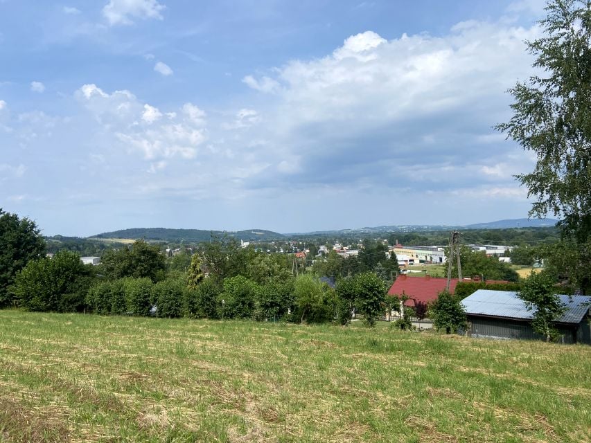 Zdjęcie 3