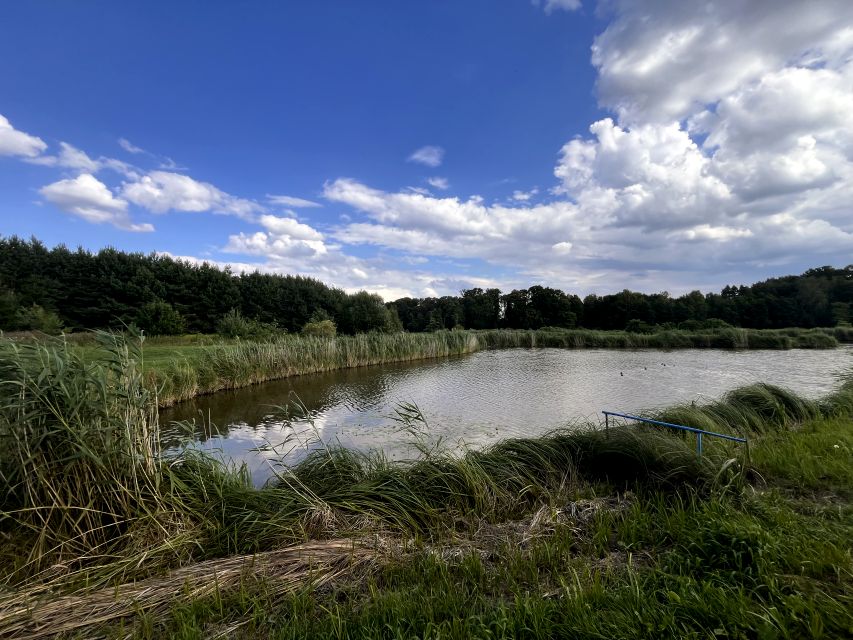 Działka rekreacyjna Tuligłowy