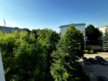 Mieszkanie Buk