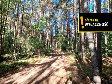 Działka leśna Suków