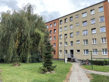 Mieszkanie Knurów
