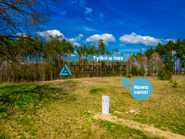 Działka przy lesie