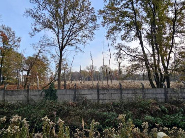 Działka inwestycyjna Kędzierzyn-Koźle