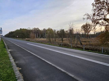 Działka inwestycyjna sprzedam