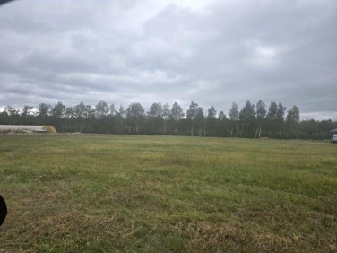 Działka budowlana Rżyska