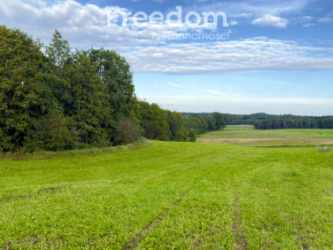 Działka budowlana Wronka