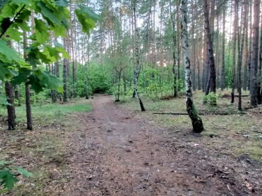Działka leśna Warszawa