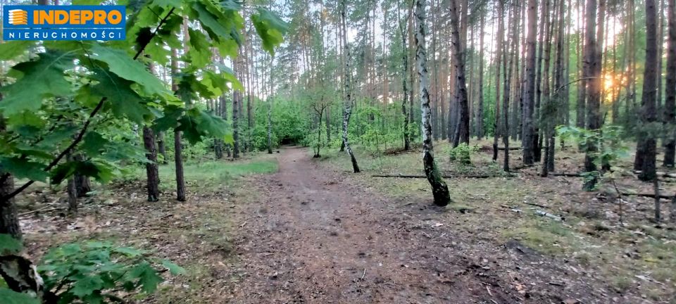 Działka leśna Warszawa