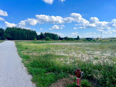 Działka budowlana Kotorydz