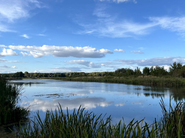 Działka Wieliszew