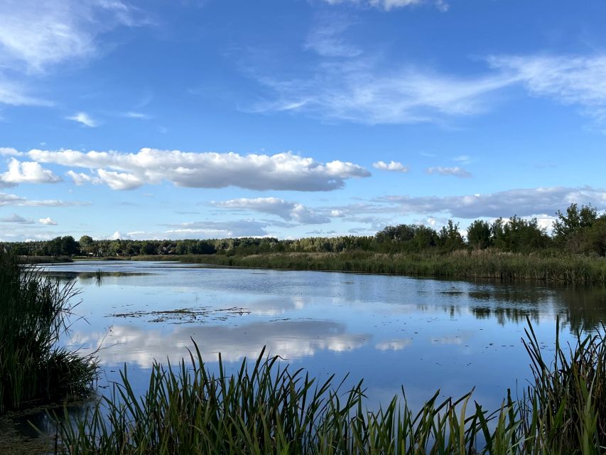Działka Wieliszew