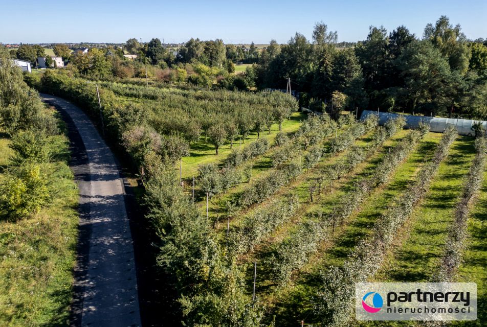 Działka przy lesie