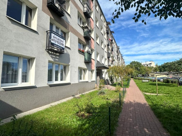 Mieszkanie Kielce