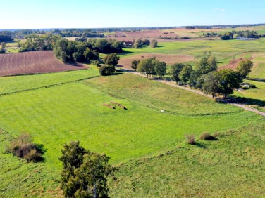 Działka Kożuchy Wielkie