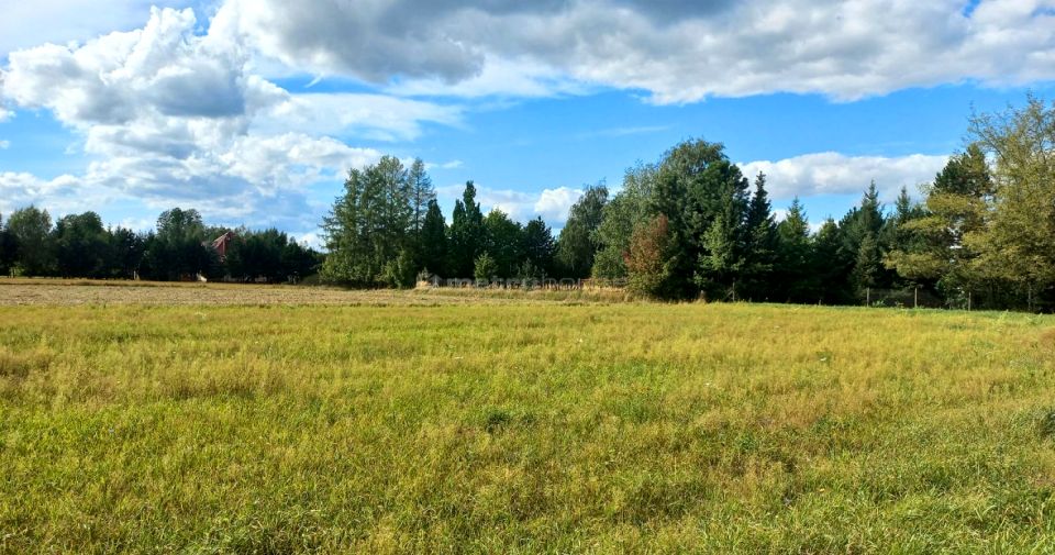 Działka budowlana Wola Krakowiańska
