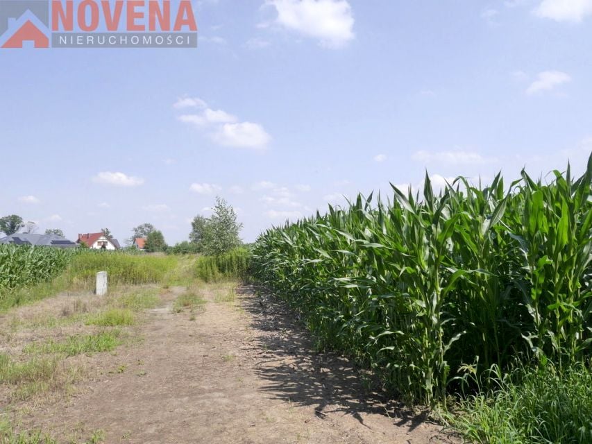 Zdjęcie 2