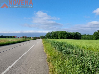 Działka Godzięcin