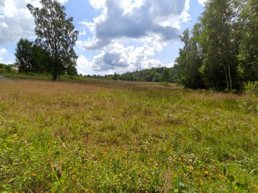 Działka budowlana Istebna