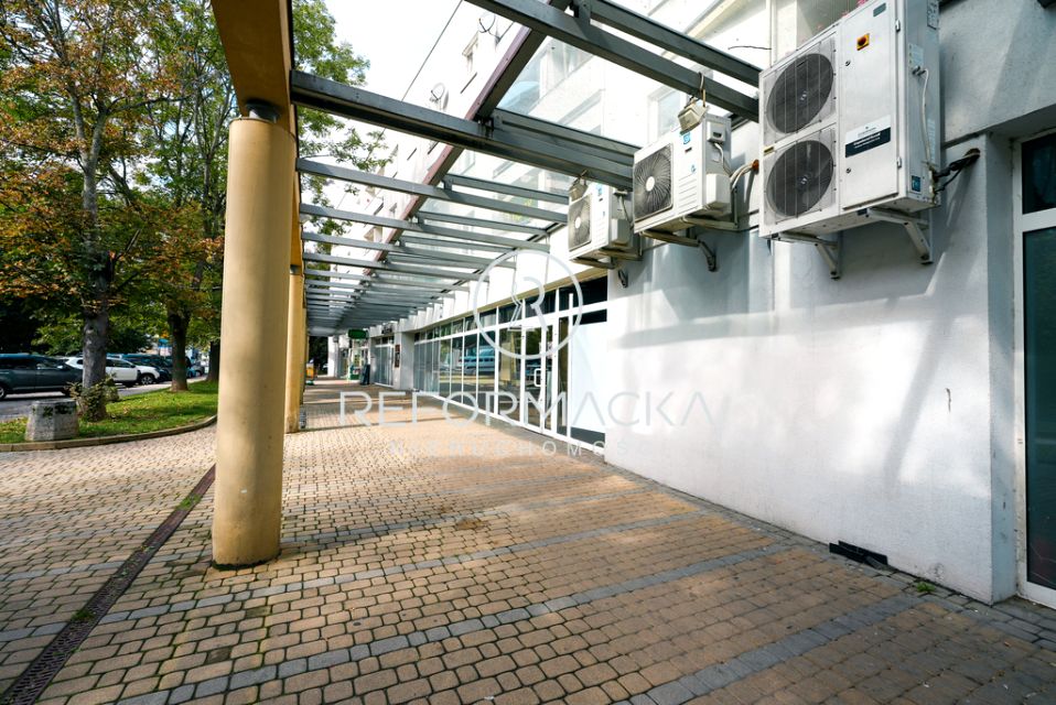 Lokal Rzeszów