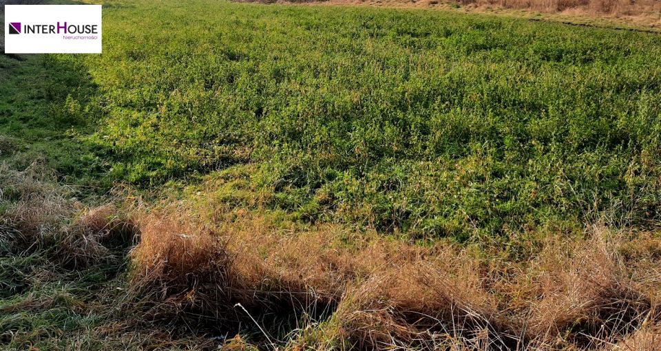 Działka budowlana Brynek sprzedam
