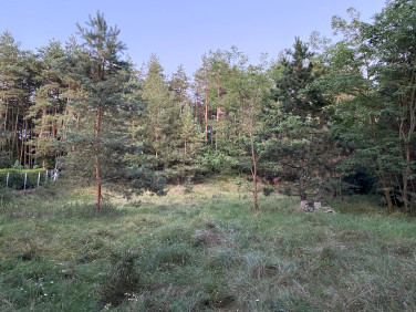 Działka budowlana Głębocko
