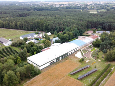 Budynek użytkowy Dmosin