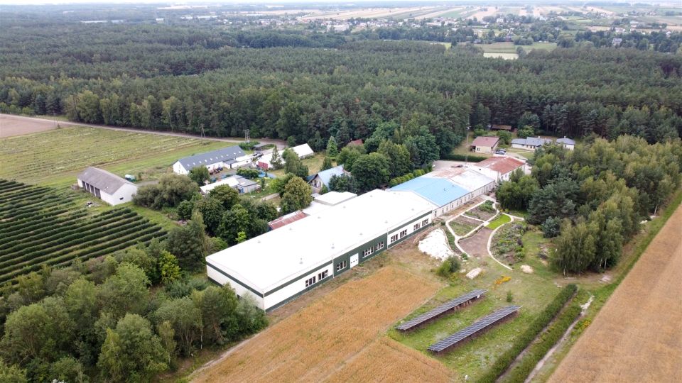 Budynek użytkowy Dmosin