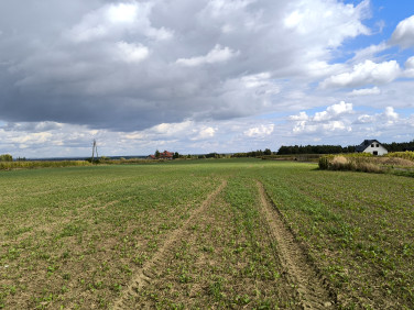 Działka budowlana Brzezina
