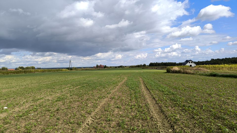 Działka budowlana Brzezina