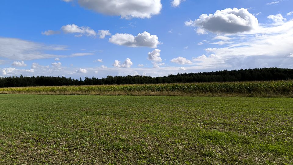 Działka budowlana Brzezina sprzedam