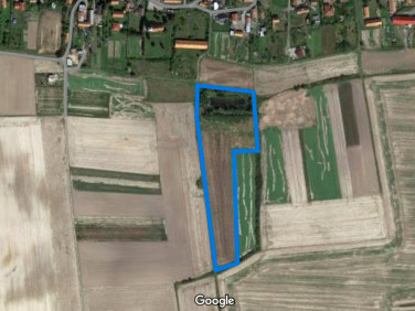 Działka inna Rosochata