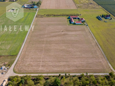 Działka inna Prażmów