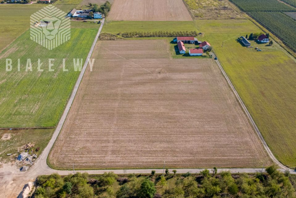 Działka inna Prażmów