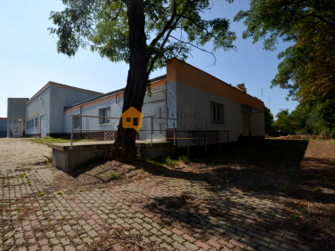 Budynek użytkowy Głogów