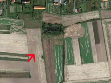 Działka inna Rosochata