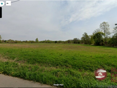 Działka budowlana Wilków Polski