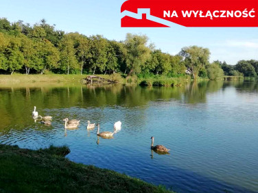 Działka usługowa Klementowice