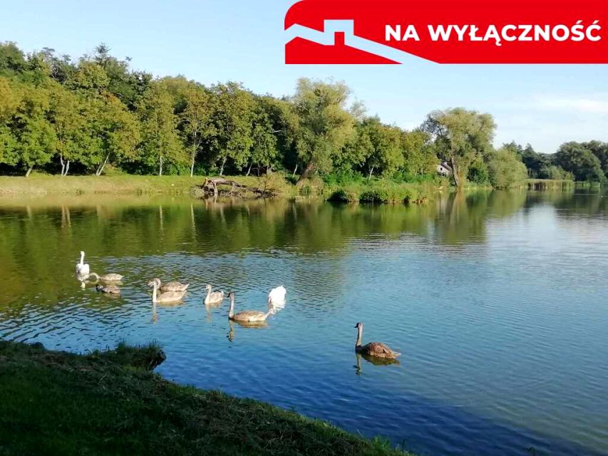 Działka usługowa Klementowice