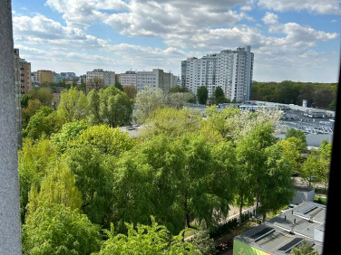 Mieszkanie blok mieszkalny wynajem