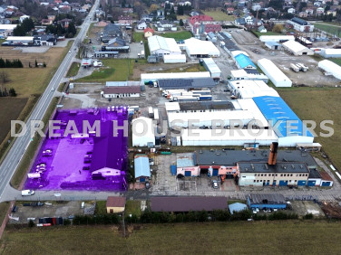 Lokal Rymanów