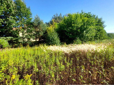 Działka budowlana Dębe Wielkie sprzedam