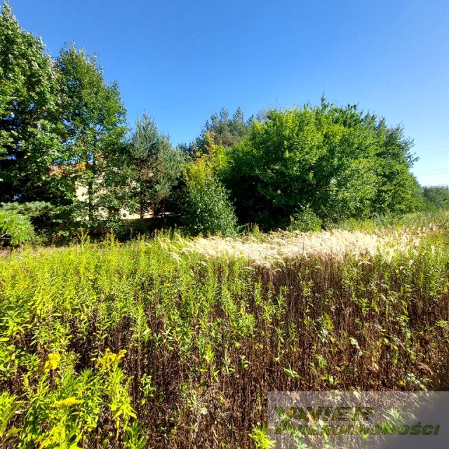 Działka budowlana Dębe Wielkie sprzedam