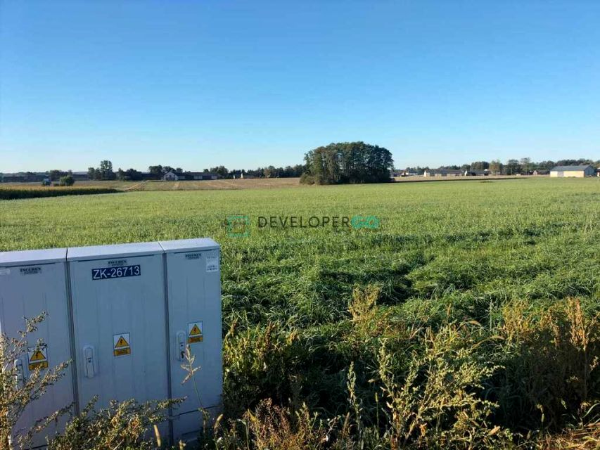 Działka KUROWO-KOLONIA