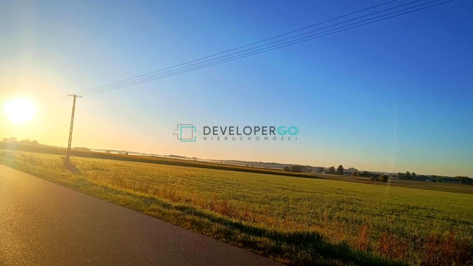 Działka KUROWO-KOLONIA