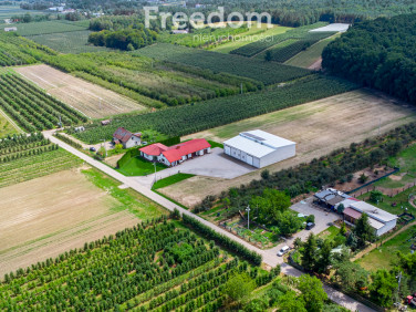 Dom Wilków Drugi